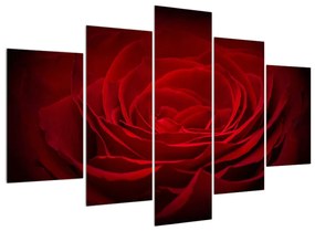 Piros rózsa képe (150x105 cm)