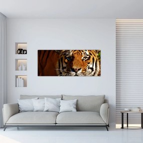 Tigris képe (120x50 cm)