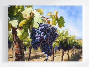 Vászonkép Canvas Szőlő Ősz Tájkép 80x60
