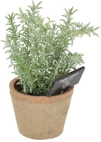Műnövény (magasság 21,5 cm) Thyme – Esschert Design