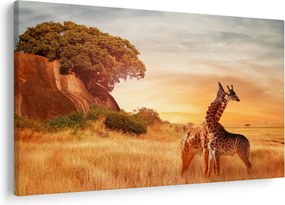 Kép - Zsiráfok Afrikában (90x60 cm)