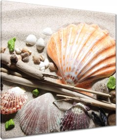 Vászonkép 80x80 Kagylók a balti tengerpartról