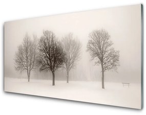 Modern üvegkép Snow Tájkép fák 100x50 cm