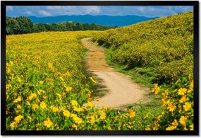 Poszterek keretben 60x40 Falusi tejút