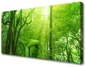 Vászonkép fák Természet 100x50 cm