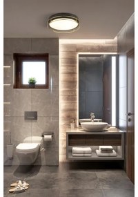 Searchlight 62012-2PB - Fürdőszobai mennyezeti lámpa PHEONIX 2xE14/60W/230V IP44