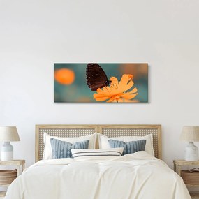 Kép - pillangó narancssárga virágon (120x50 cm)