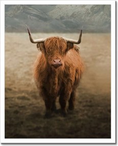 Poszterek keretben 40x50 Mint Szarvasmarha Szarvak