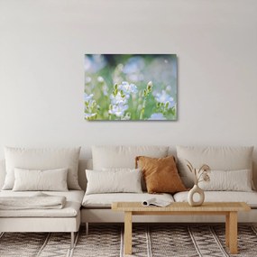 Üveg kép - Finom virágok (70x50 cm)
