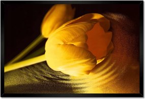 Poszter keretben 60x40 Sárga-arany tulipán