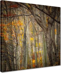 Vászonkép 30x30 Tájkép Látvány