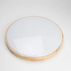 Brilagi - LED fényerőszabályozható mennyezeti lámpa PINE LED/60W/230V + távirányítóval