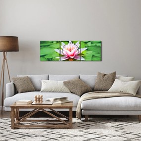 A tavirózsa képe a felszínen (órával) (90x30 cm)