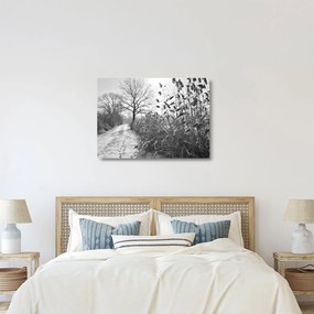 Üveg kép - Mezők télen (70x50 cm)