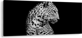 Kép - Leopárd (120x50 cm)