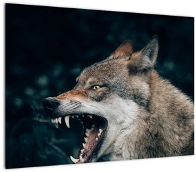 Farkas képe (üvegen) (70x50 cm)