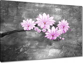 Vászonkép 120x80 Magnólia virágok