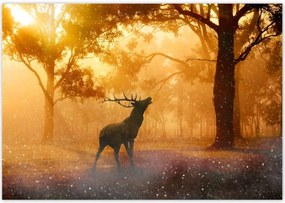 Poszterek 100x70 Szarvas az erdőben