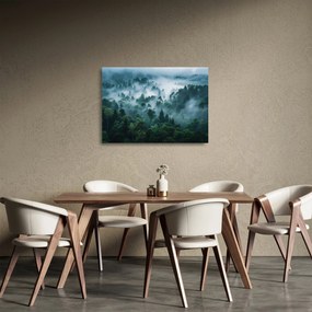 Üveg kép - Erdő ködben (70x50 cm)