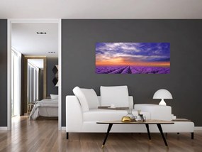 Egy levendula mező képe (120x50 cm)