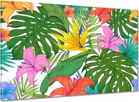 Vászonkép 100x70 Levelek Monstery Levelek