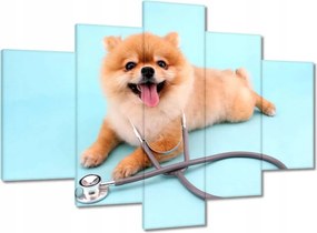 Képek 150x105 Kutya sztetoszkóppal