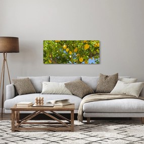 Kép - Citromfa (120x50 cm)