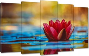 Vászonkép 100x60 Vízi liliom Virág Víz