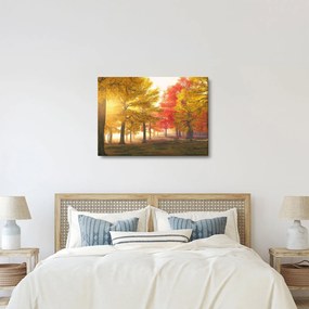 Őszi fák képe (70x50 cm)