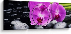 Kép - Orchideák (órával) (90x30 cm)