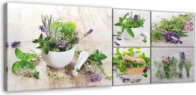 Konyhai Kép Fűszernövények 5 Részes Konyhai Képek Vászonra