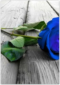 Poszterek 70x100 Kék rózsa a deszkákon