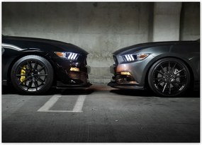 Poszterek 70x50 Face to face Mustang