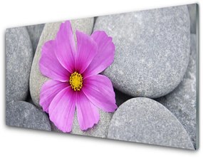 Akrilkép Spa virág növény 100x50 cm