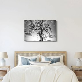 Kép - fekete fehér fa (90x60 cm)