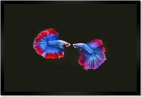 Poszterek keretben 60x40 Színes két harcos