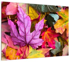 Kép - őszi levelek (70x50 cm)