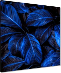Vászonkép 80x80 Kék levelek
