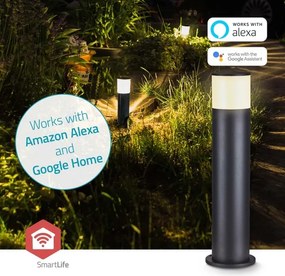 Nedis ZBLOP10RGBW - LED RGBW dimmelhető kültéri lámpa LED/10W/230V IP65 Wi-Fi Tuya fekete