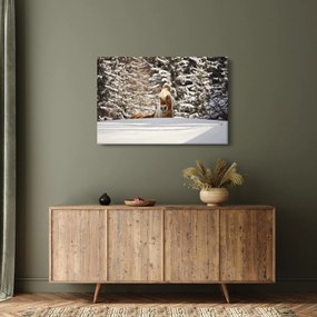 Kép - Ló a téli tájban (90x60 cm)