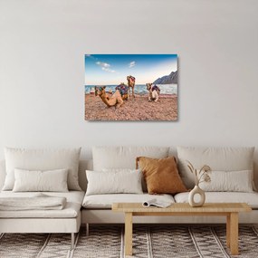 A tevék képe (üvegen) (70x50 cm)