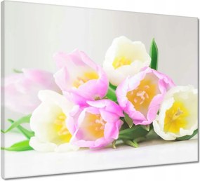 Vászonkép 50x40 Finom tulipánok