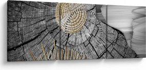 Kép - A fa törzse kollázsban (órával) (90x30 cm)