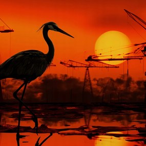 Poszter 50x50cm Alkonyat Ipari Daru