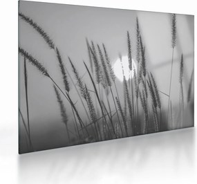 Üveg kép - Mező naplementében (70x50 cm)