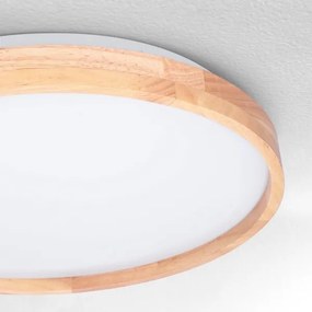 Brilagi - LED dimmelhető mennyezeti lámpatest ALSON LED/48W/230V 3000-6500K + távirányító