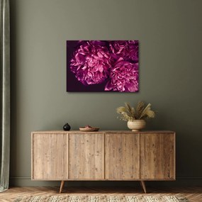 Kép - Csokor pünkösdi rózsa (70x50 cm)