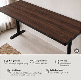 Elektromos ülő-álló íróasztal fiókkal és Qi vezeték nélküli töltővel fekete/dió, 1600 mm: ELLIS