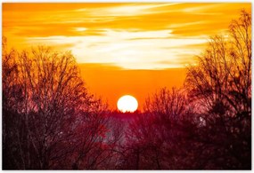 Poszterek 155x105 Kilátás Tájkép