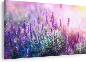 Kép - Levendula a csillogó napban (90x60 cm)